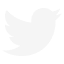 Logo do Twiter